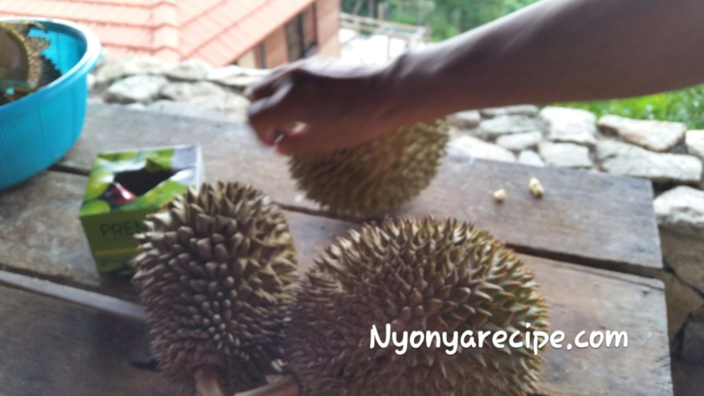 durians, penang, nyonya, Malaysia, holiday, summer
