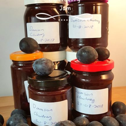 Jars of Damson chutney with damson fruits.